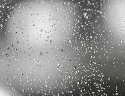 Let’s Talk Dehumidification