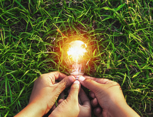 LG Customers are Taking the LEED