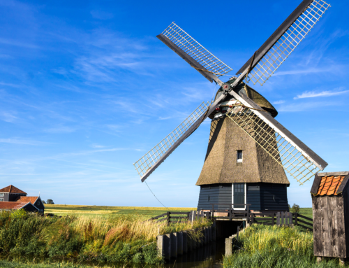 From Where the Wind Blows